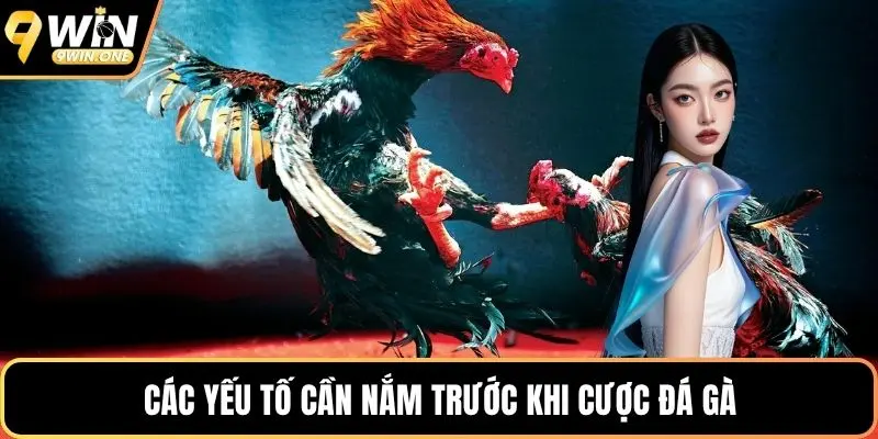 Các yếu tố cần nắm trước khi cược đá gà