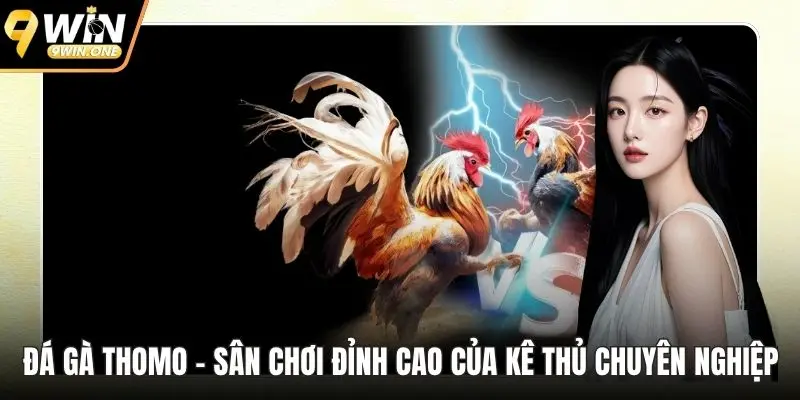 Đá gà Thomo