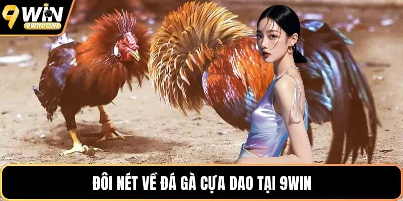 Đôi nét về đá gà cựa dao tại 9win