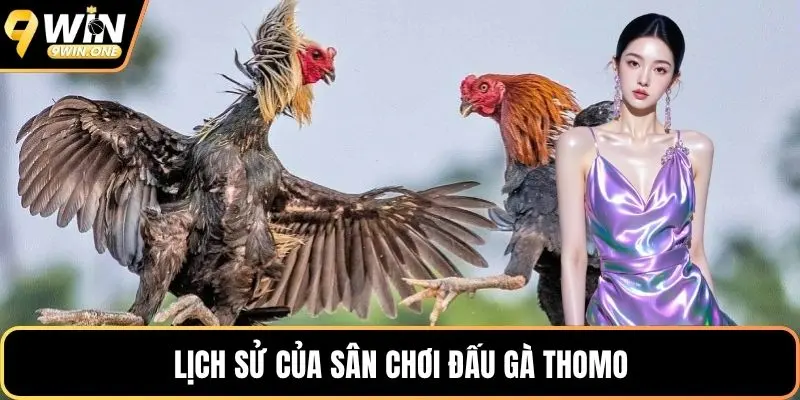 Lịch sử của sân chơi đấu gà Thomo