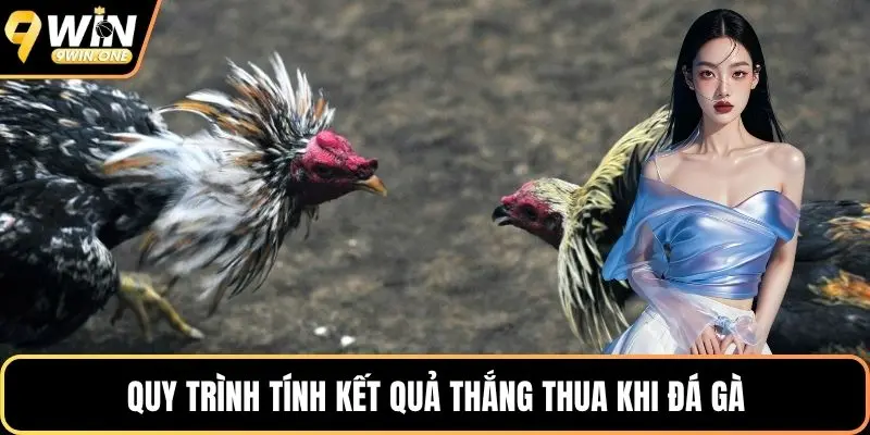 Quy trình tính kết quả thắng thua khi đá gà