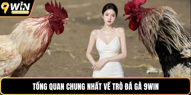 Tổng quan chung nhất về trò đá gà 9win