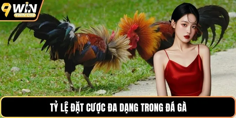 Tỷ lệ đặt cược đa dạng trong đá gà